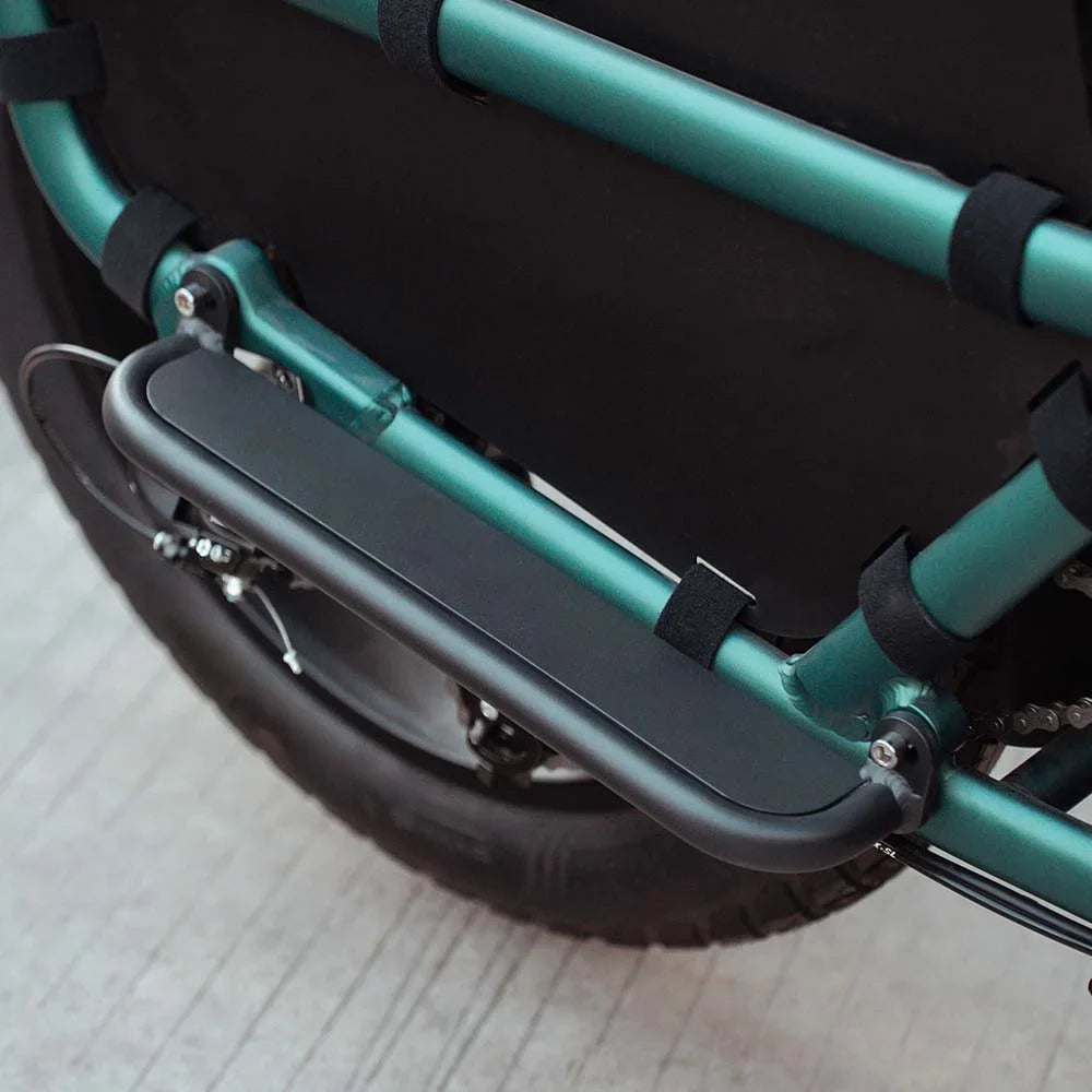 Fiido T2 | Longtail Cargo E-Bike | 250W | 200kg Payload | Family & Cargo