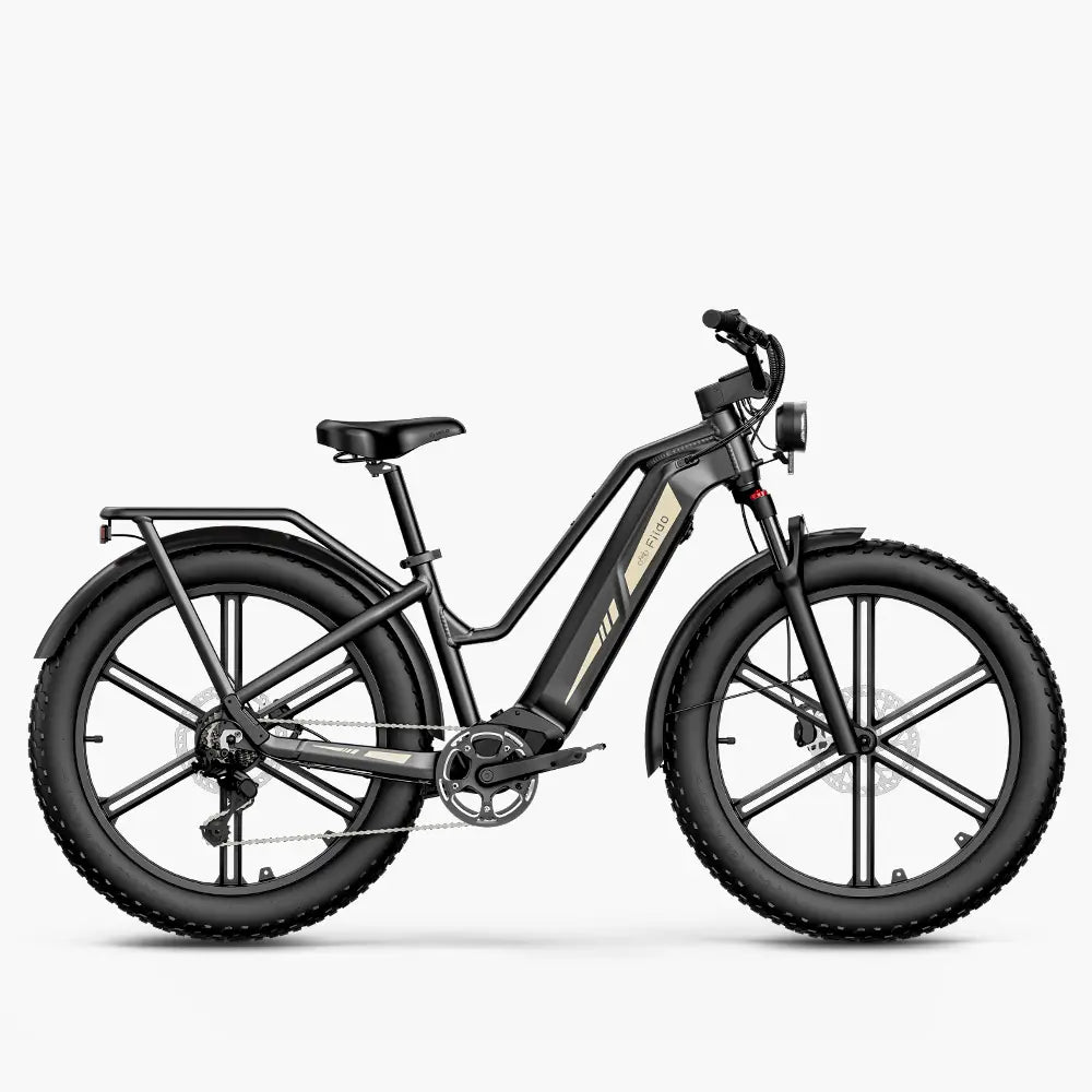 Fiido Titan | Long-Range Touring E-Bike | 250W | 150km Range | Fat Tyre