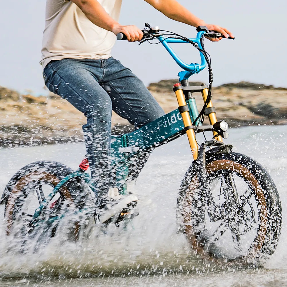 Fiido M1 Pro | Fat Tyre Folding E-Bike | 250W | 130km Range | Full Suspension