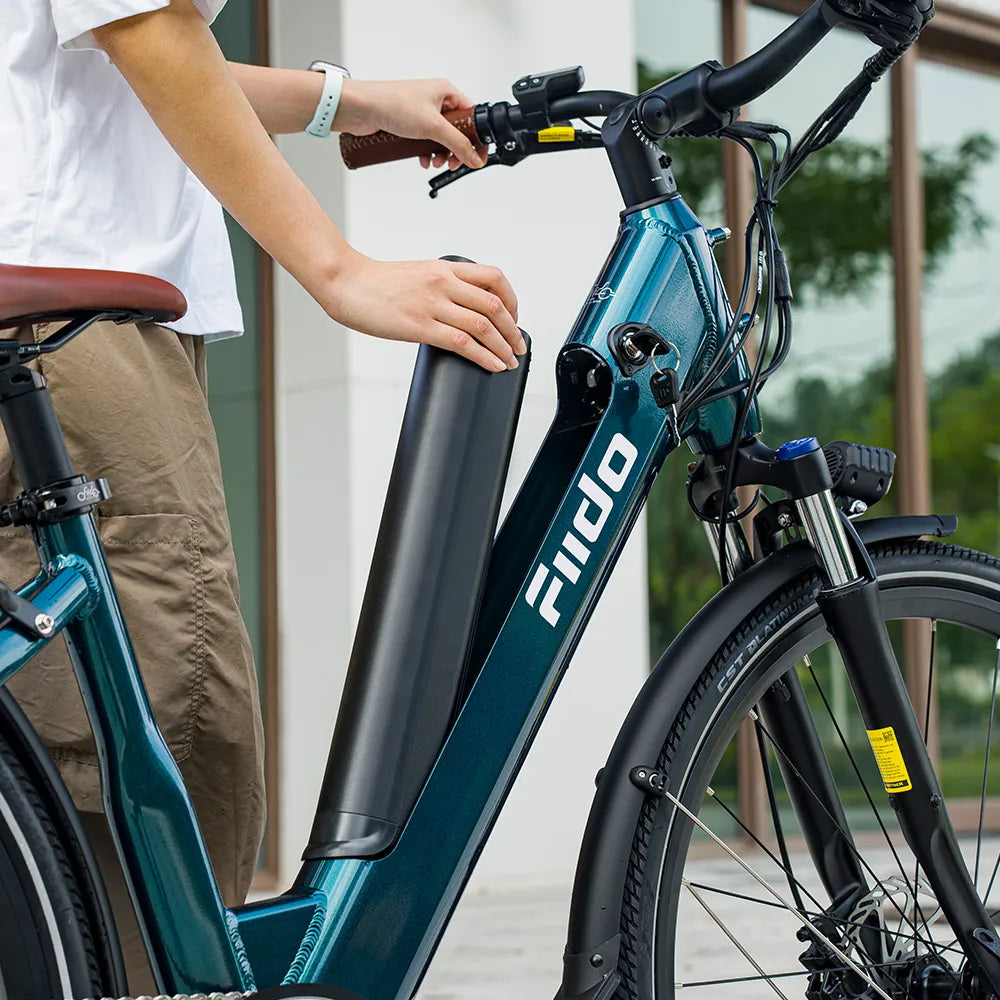 Fiido C11 Pro | City Commuter E-Bike | 250W | 100km Range | Lightweight Urban