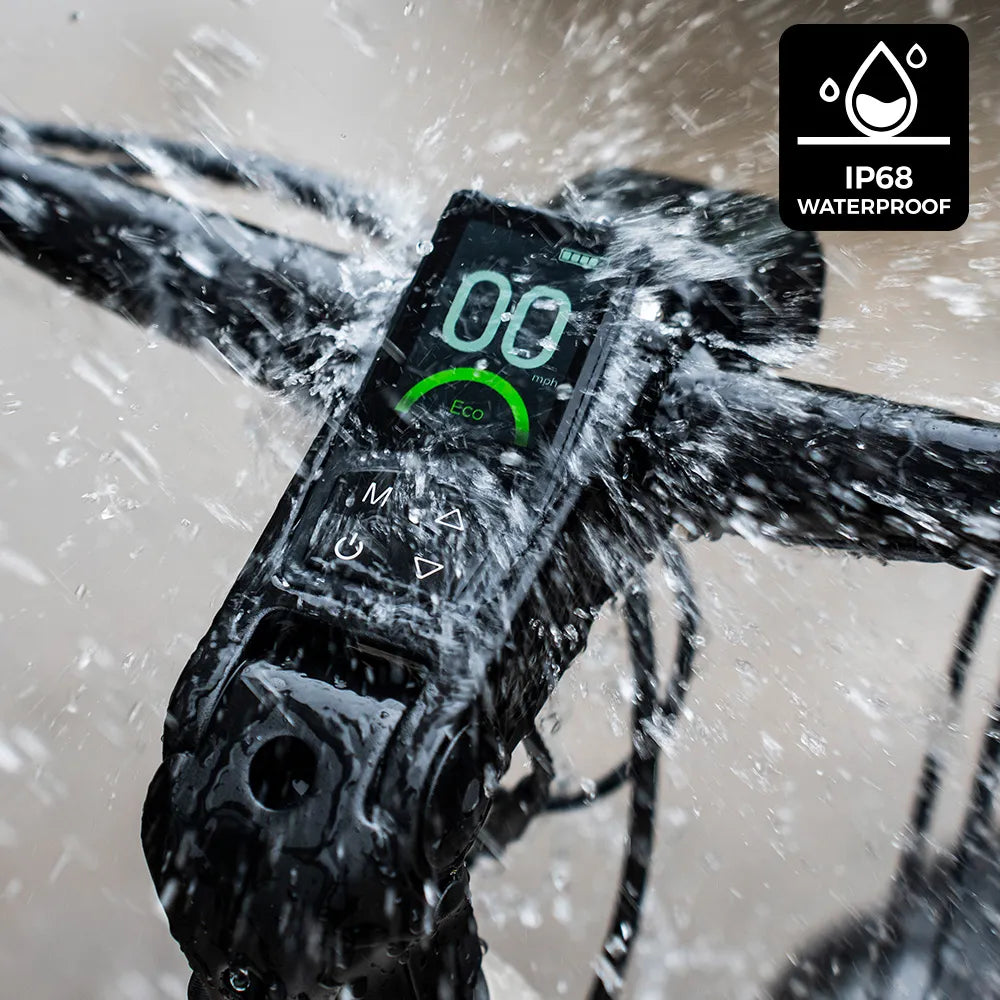 Fiido Nomads | Long-Range Touring E-Bike | 250W | 130km Range | All-Terrain