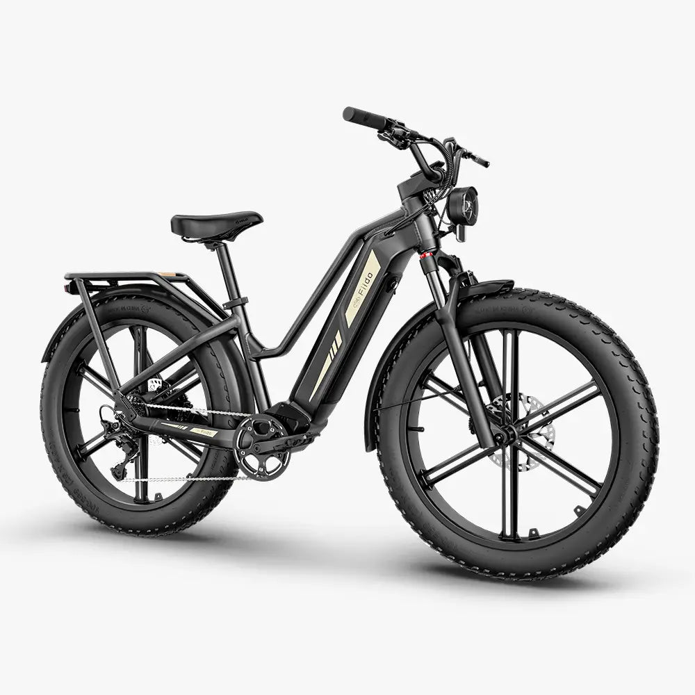 Fiido Titan | Long-Range Touring E-Bike | 250W | 150km Range | Fat Tyre