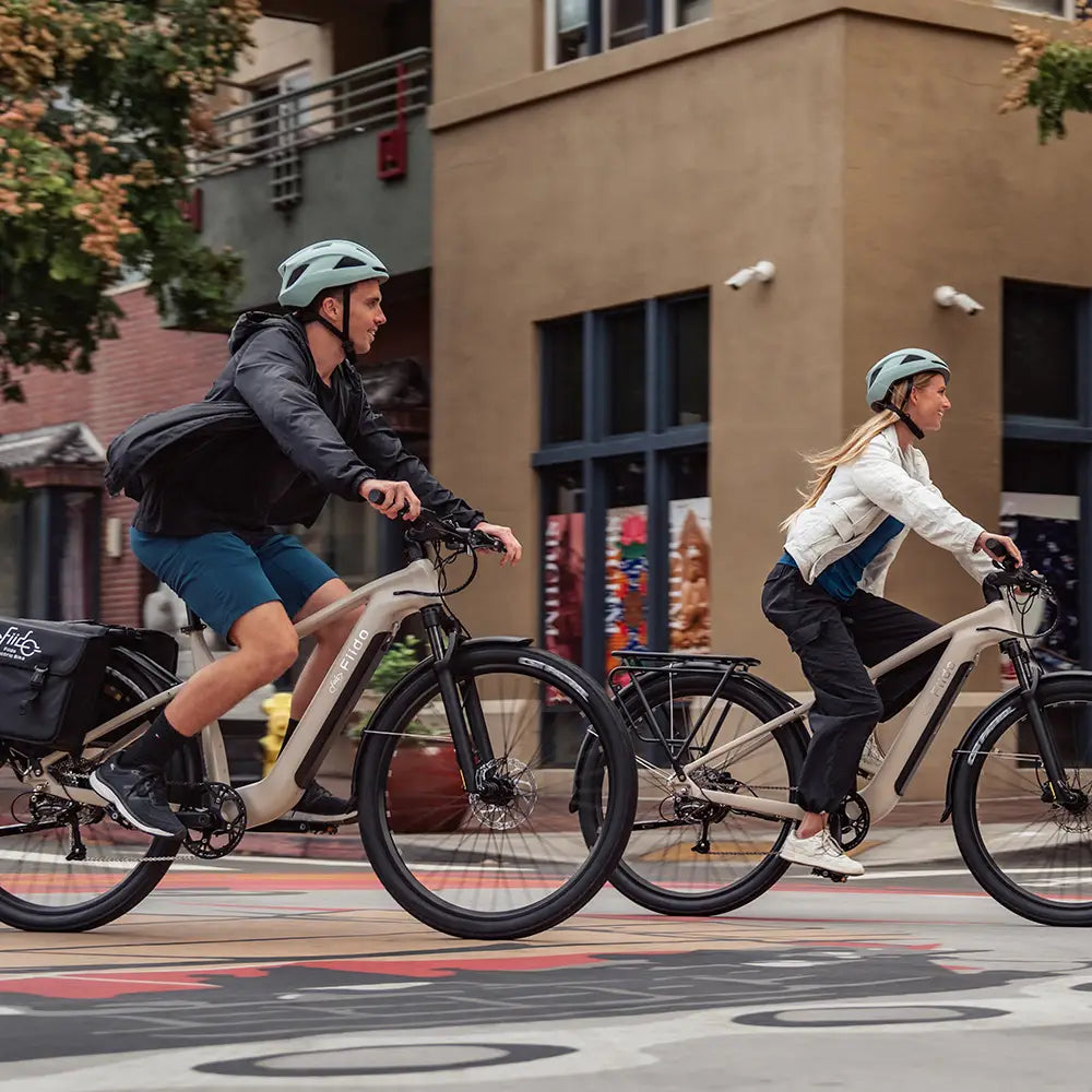 Fiido Nomads | Long-Range Touring E-Bike | 250W | 130km Range | All-Terrain