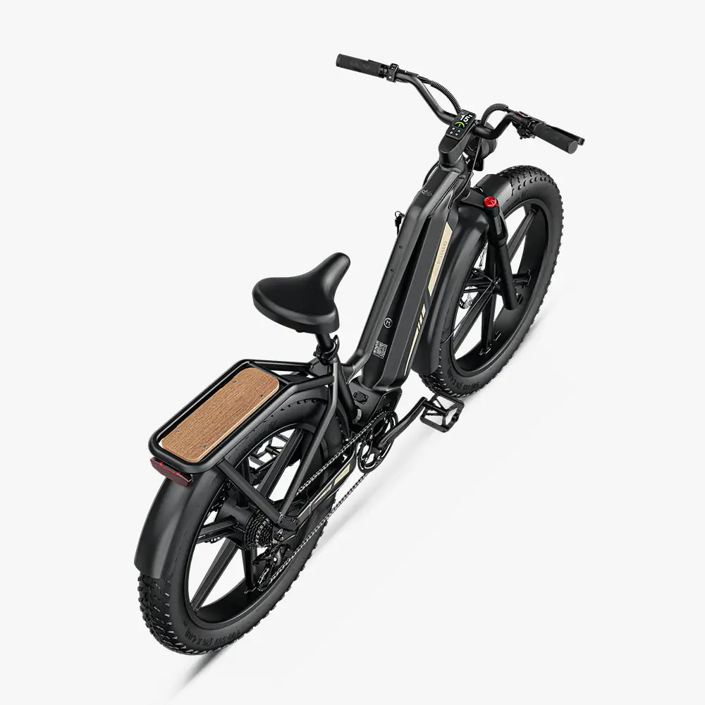 Fiido Titan | Long-Range Touring E-Bike | 250W | 150km Range | Fat Tyre