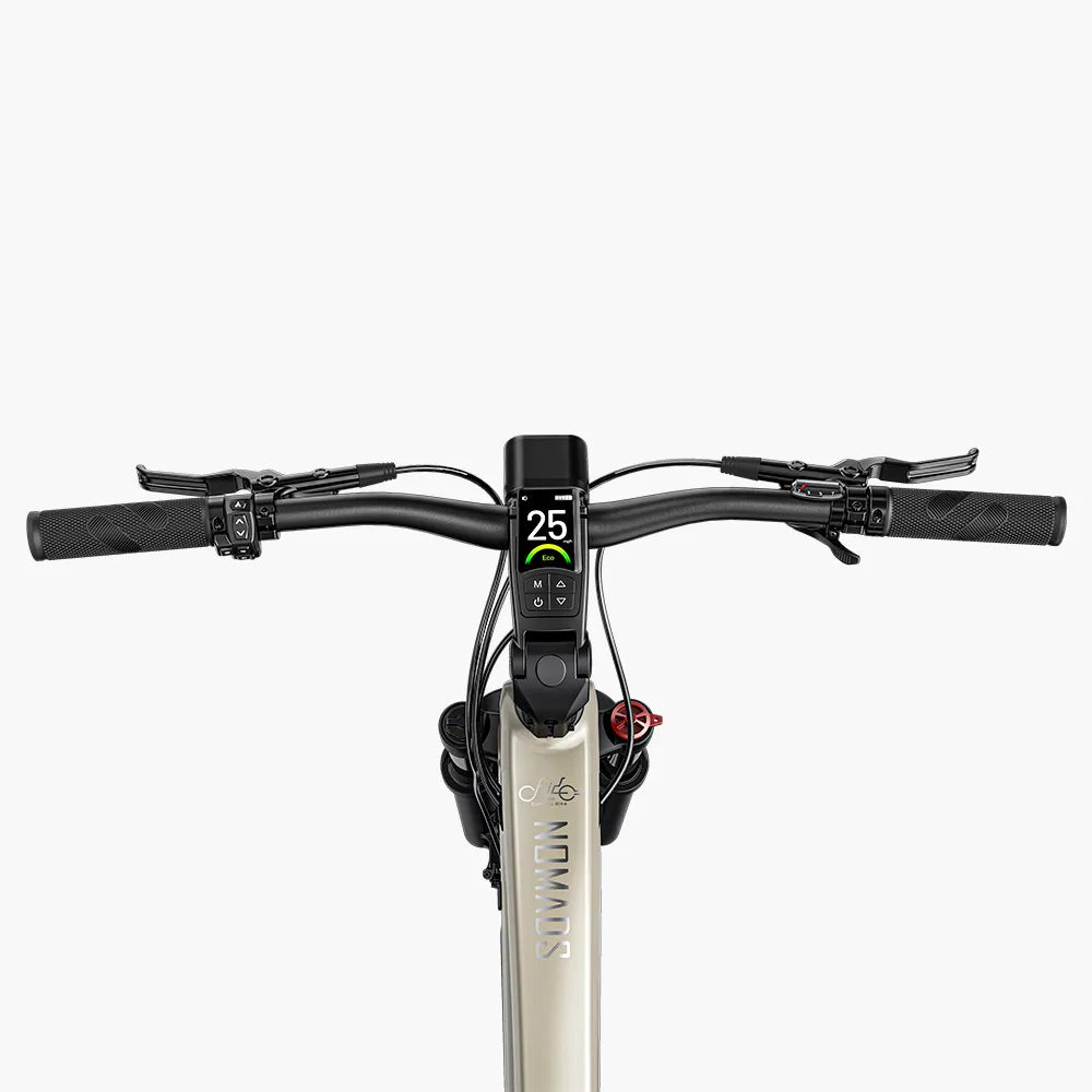Fiido Nomads | Long-Range Touring E-Bike | 250W | 130km Range | All-Terrain