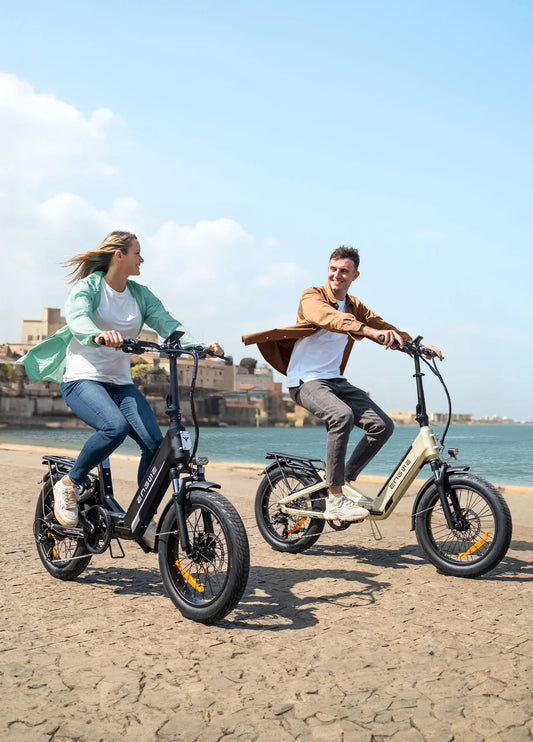 Engwe L20 3.0 Boost | Women's Step-Through Fat E-Bike
