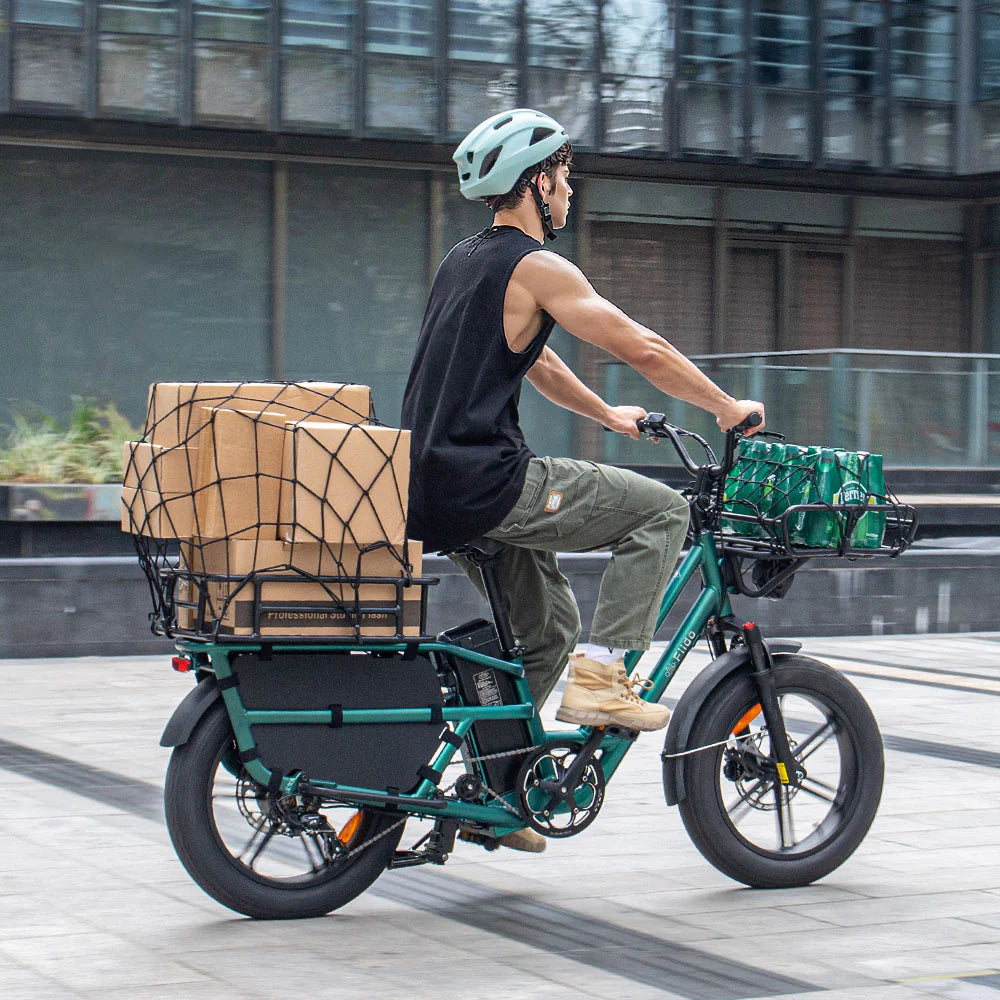 Fiido T2 | Longtail Cargo E-Bike | 250W | 200kg Payload | Family & Cargo