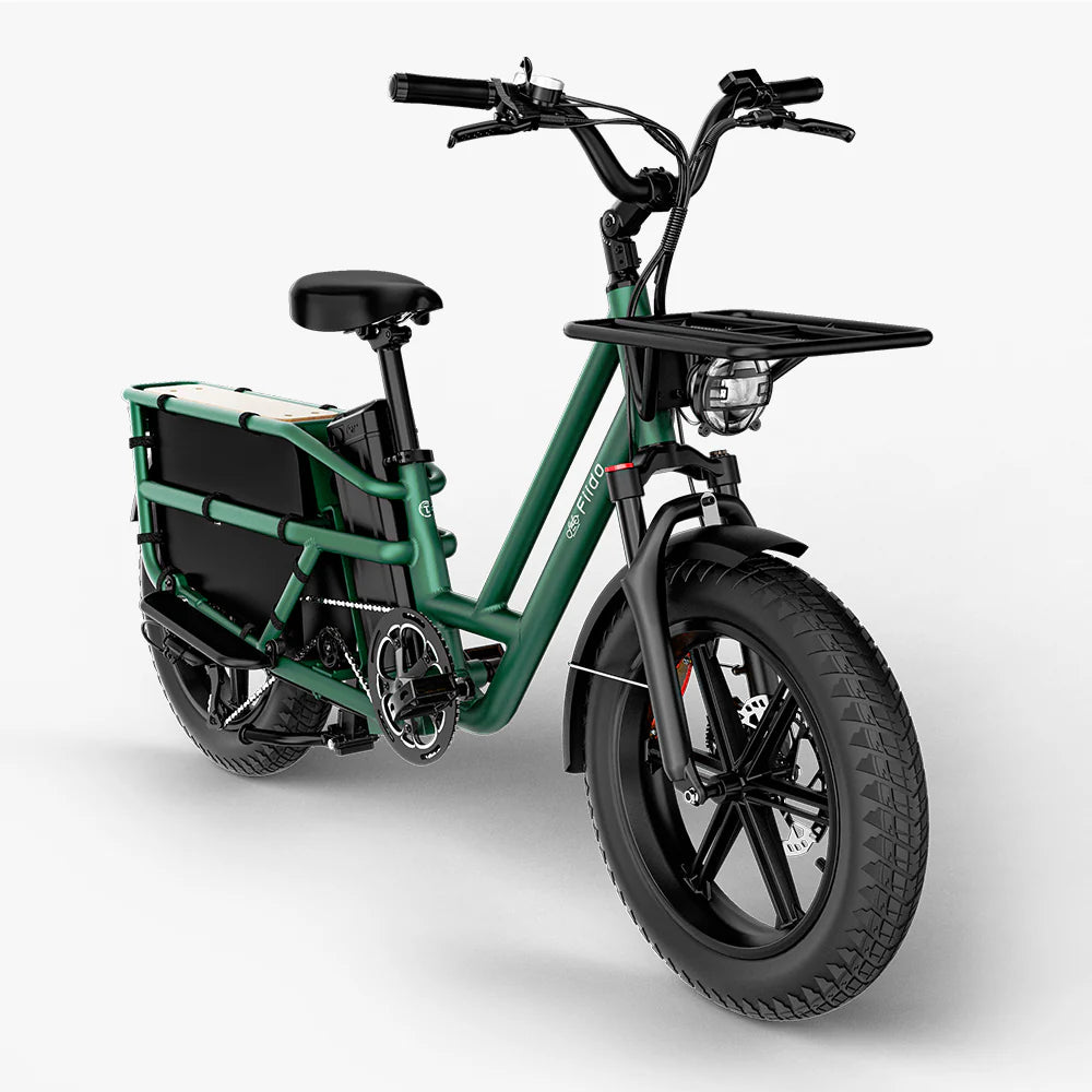 Fiido T2 | Longtail Cargo E-Bike | 250W | 200kg Payload | Family & Cargo