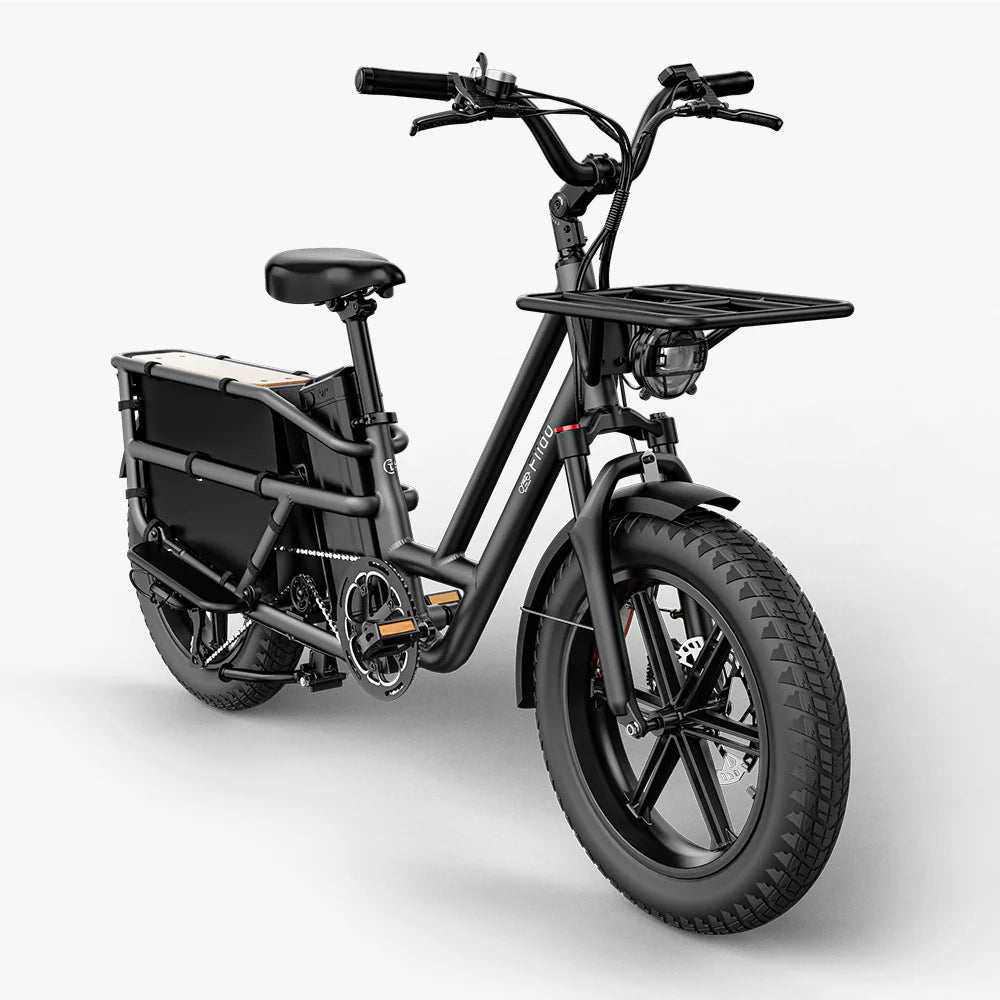 Fiido T2 | Longtail Cargo E-Bike | 250W | 200kg Payload | Family & Cargo