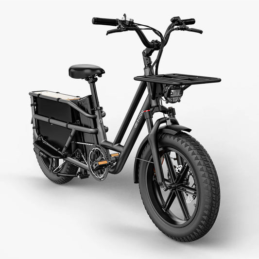 Fiido T2 | Longtail Cargo E-Bike | 250W | 200kg Payload | Family & Cargo