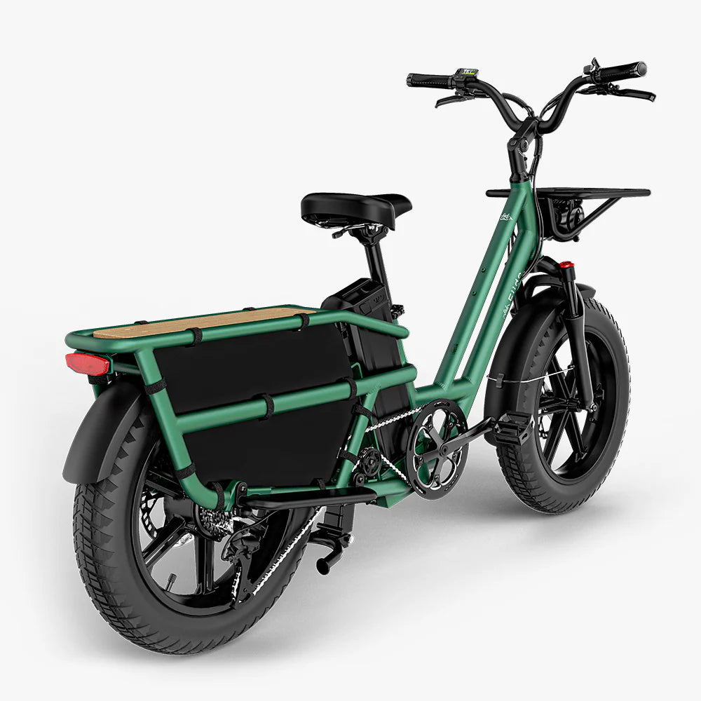 Fiido T2 | Longtail Cargo E-Bike | 250W | 200kg Payload | Family & Cargo