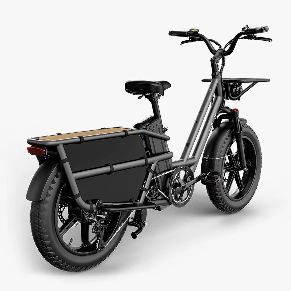 Fiido T2 | Longtail Cargo E-Bike | 250W | 200kg Payload | Family & Cargo